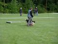 DSC05739