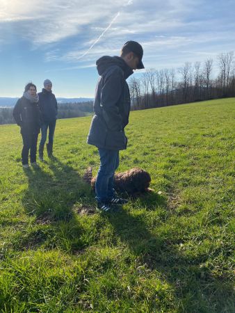 PHOTO 2020 02 23 21 22 47  2 